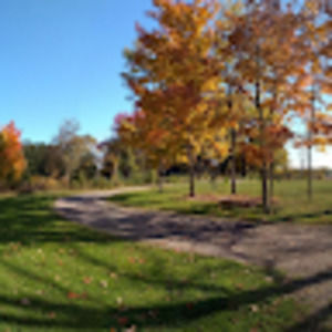 Meet your Posher, Dave